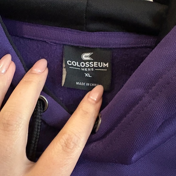Colosseum Purple Texas Christian University Hoodie (TCU) - Picture 2 of 4